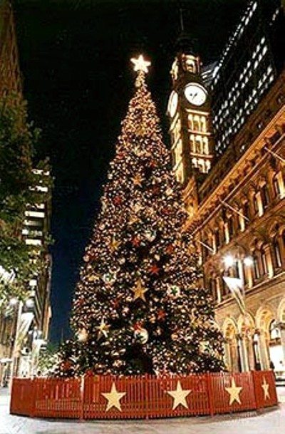 Christmas Tree Lighting Design by Limelight Australia